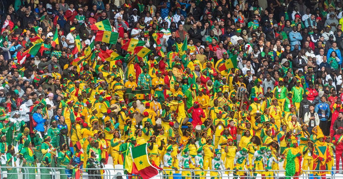 Vibrant crowd of football fans showing enthusiasm during Africa Cup of Nations match.
